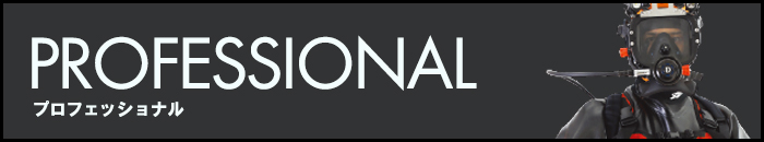 プロフェッショナル